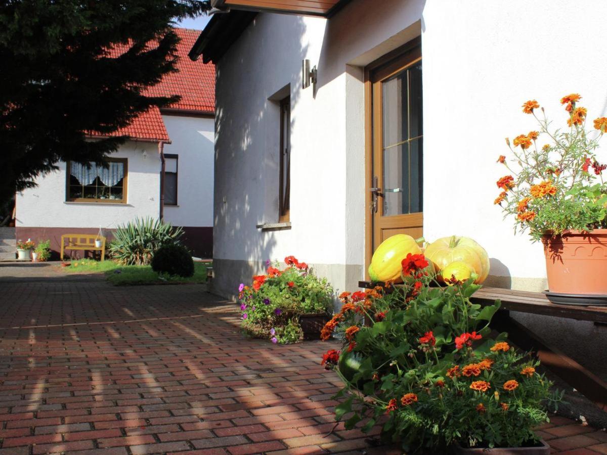 Ferienhaus Christine Schenkendobern المظهر الخارجي الصورة